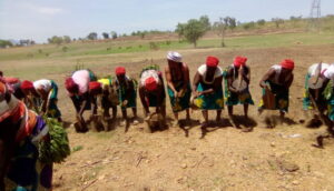 Taraba-farmers1-750×430