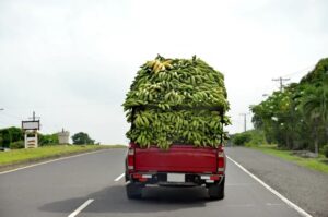 Perishable goods transport drivers blame rising cost of food items in South East on touts