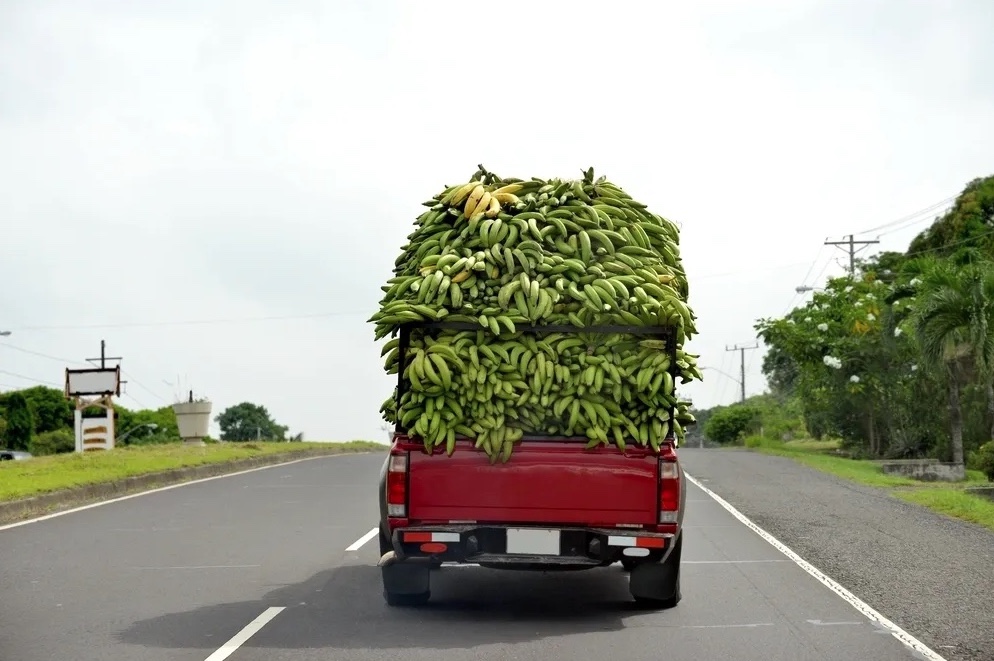 Perishable goods transport drivers blame rising cost of food items in South East on touts