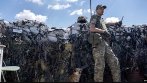 A Ukrainian soldier, accompanied by a dog, keeps position on the front line in Mykolaiv region on July 23, 2022, amid the Russian invasion of Ukraine.