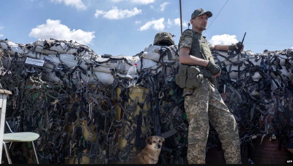 A Ukrainian soldier, accompanied by a dog, keeps position on the front line in Mykolaiv region on July 23, 2022, amid the Russian invasion of Ukraine.