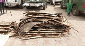 Customs arrests 4 suspects, intercepts 13 trucks of rice, donkey skin, others worth ₦7.432 billion