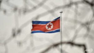 North Korea resurfaces Russia’s ‘biological weapons’ claims