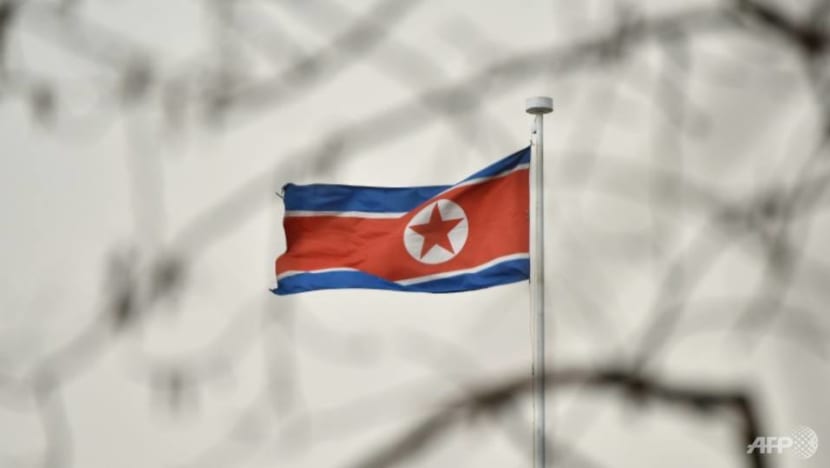 North Korea resurfaces Russia’s ‘biological weapons’ claims