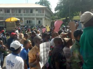 Cross-section of workers protesting in Calabar