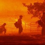 Oak Fire: Emergency declared as wildfire rages near Yosemite National Park