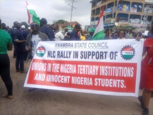 ASUU Strike: NLC protests in Anambra