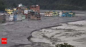 Flash flood kills at least 21 people in southern Iran