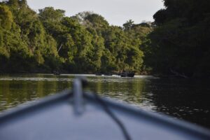 In this July 22, 2019 photo provided by Rodrigo Vargas, a boat moves through the in Cristalino II State Park in the state of Mato Grosso, in Brazil. In a move that shocked environmentalists, the government of Brazil’s third-largest state gave up on a legal battle to protect the state park located in one of the Amazon’s most biodiverse areas. Now the park will be officially dissolved, its press office confirmed to The Associated Press. (Rodrigo Vargas via AP)