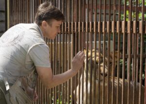 Natalia Popova, 50, pets a lion at her animal shelter in Kyiv region, Ukraine, Thursday, Aug. 4, 2022. Popova, in cooperation with the animal protection organisation UA Animals, has already saved more than 300 animals from the war, 200 of them were sent abroad, and 100 found a home in most western regions of Ukraine, which are considered to be safer. (AP Photo/Efrem Lukatsky)
