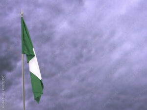 Nigeria’s economy is wobbling, confirms UNDP report