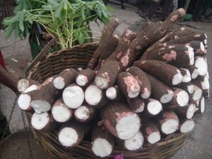 1024px-Cassava-1024×768