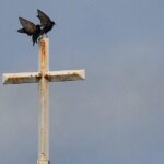 US: Southern Baptist abuse claims under DoJ investigation
