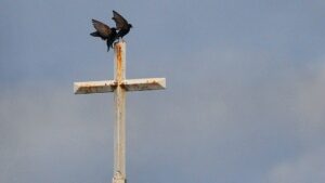 US: Southern Baptist abuse claims under DoJ investigation