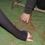 Climate activists have targeted golf greens to protest the water ban exemption