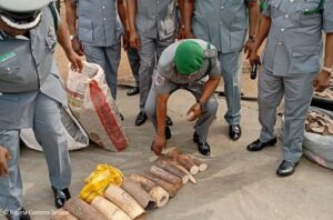 3 Vietnamese, others arrested as Customs, WJC seize pangolin scales
