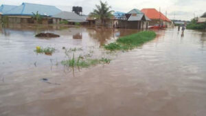 Benue-Flooded1-600×360