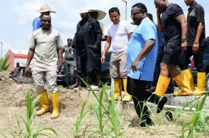 Cross-river-gov1-650×430