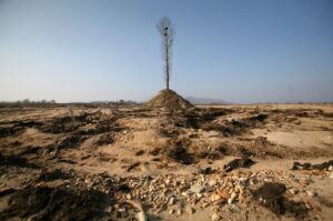 A tree stands on the dried-up riverbed of Ai River in Dandong, Liaoning province November 27, 2009. REUTERS/Jacky Chen