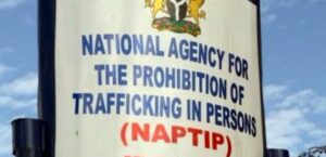 NAPTIP-LOGO-696×391