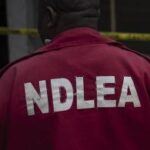 NDLEA-4