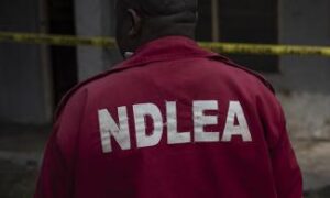 NDLEA-4