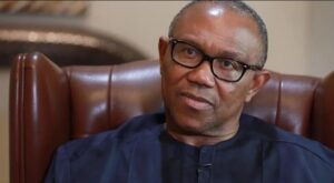 Peter Obi, LP presidential candidate