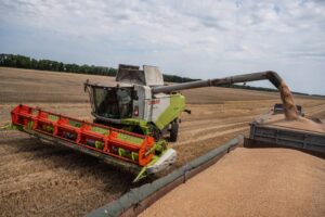 Ukraine-summer-harvest-grains