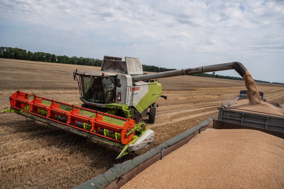 Ukraine-summer-harvest-grains