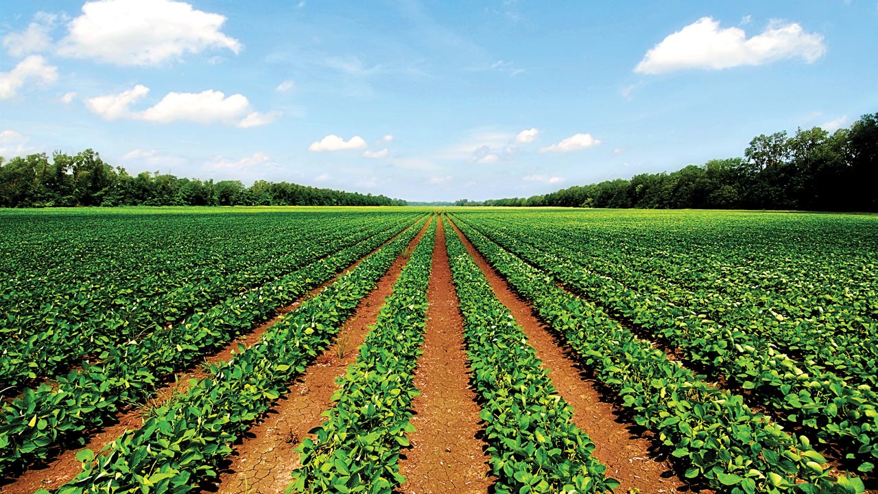 Expert suggests investment in agriculture, manufacturing to spur economic  growth