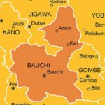 bauchi