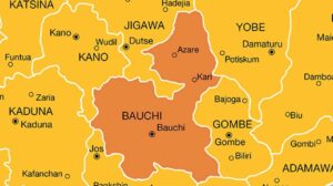 bauchi