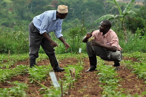 farmers-bloomberg-1