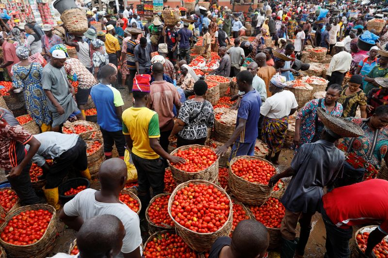 market33