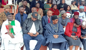 pdp youth leader