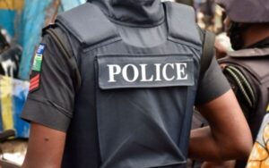 police-1-600×375