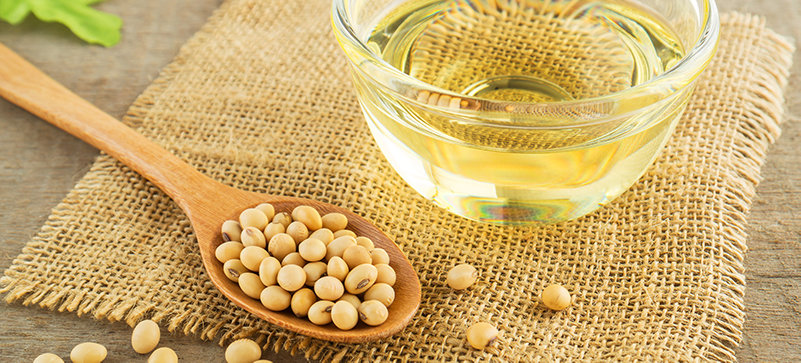 soybean_header-1