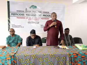 NEPC decries challenges militating against exported Nigerian products