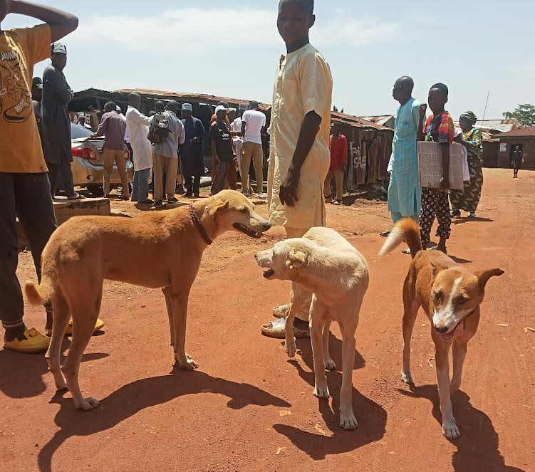 Some dogs and their owners during the rabies sensitisation at Kabala Costain, Kaduna North LGA on Wednesday