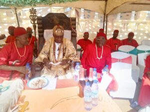 Anambra: Amorka community celebrates New Yam festival