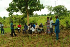 Nasarawa farmers applaud VCDP for improved agricultural produce