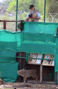 India’s Prime Minister Narendra Modi holds a camera after he released cheetahs following their translocation from Namibia, in Kuno National Park, Madhya Pradesh, India, September 17, 2022. India’s Press Information Bureau/Handout via REUTERS