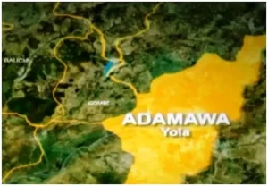 Adamawa-map-1024×709