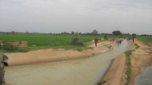 Tiga and Bagauda Dams not affected by flooding, says FG