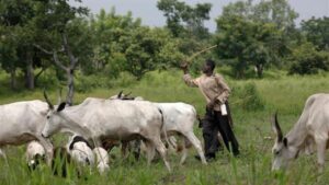 Grazing-Re-serve-Bill