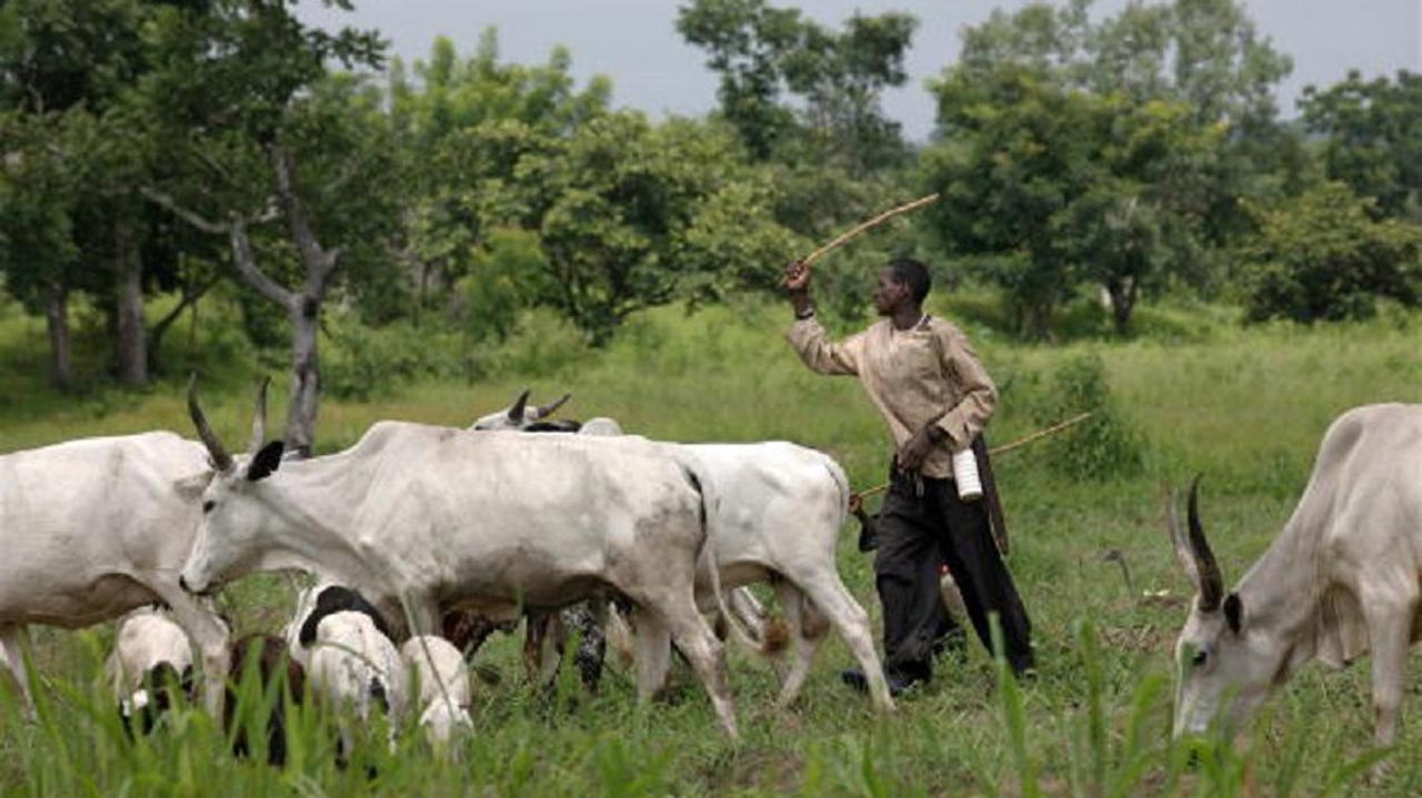 Grazing-Re-serve-Bill