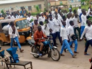 Bauchi students protest planned separation of the sexes in schools