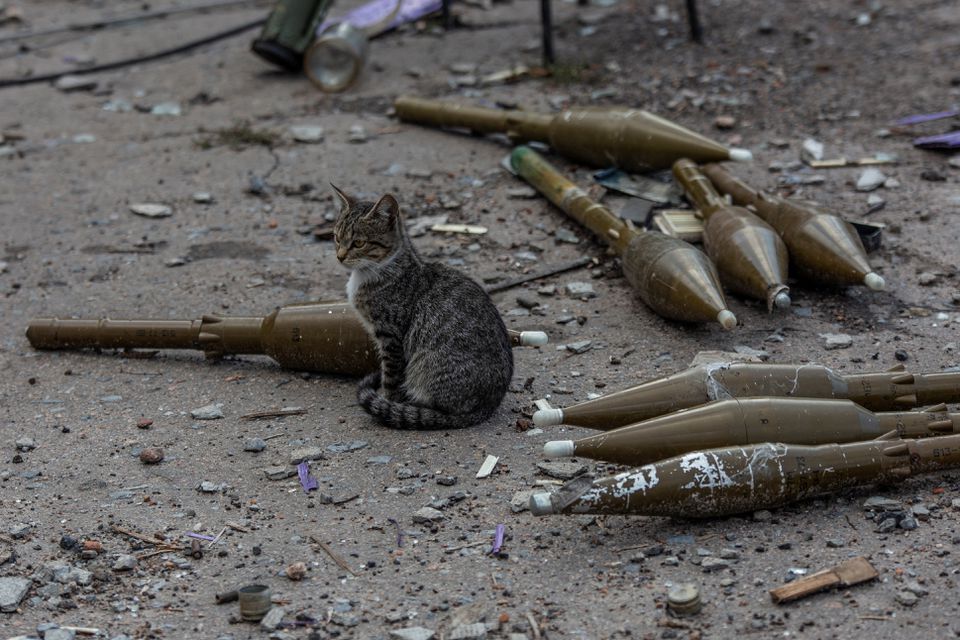 A cat sits near shells for a RPG-7 grenade launcher at a former position of Russian troops, amid Russia’s attack on Ukraine, in the village of Velyka Komyshuvakha, recently liberated by the Ukrainian Armed Forces in Kharkiv region, Ukraine September 24, 2022. REUTERS/Oleksandr Ratushniak