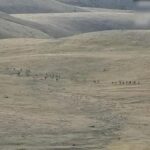 A still image from video, released by the Armenian Defence Ministry, shows what it said to be Azerbaijani service members moving along an unidentified mountainous border area with Armenia, in this still image taken from handout footage released September 13, 2022. Armenian Defence Ministry/Handout via REUTERS