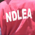 NDLEA1